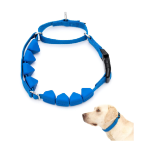 Training Collar with Rubber Points - Large, Blue