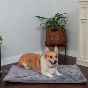 24 x 18 inch Extra Warm Thermal Pet Pad for Indoor Outdoor Pets