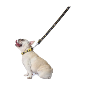 Darth Vader Dog Leash - Officially Licensed Star Wars