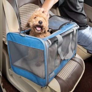 Soft-Sided Pet Carrier for Large and Medium Cats and Puppies