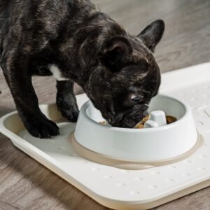 Feeder Dog Bowl for Short Snouted Pets, White/Beige